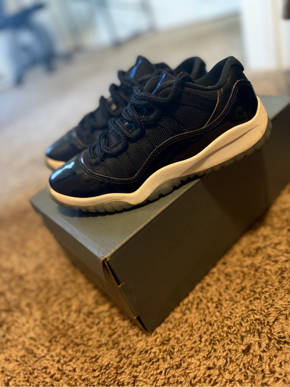 Jordan 11 Retro Low
